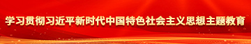 鸡巴爱抽插免费视频学习贯彻习近平新时代中国特色社会主义思想主题教育